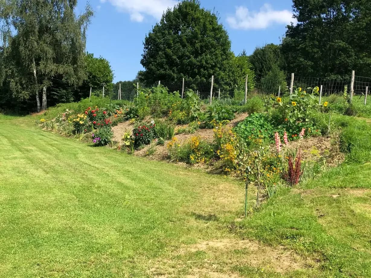 Garden flowers