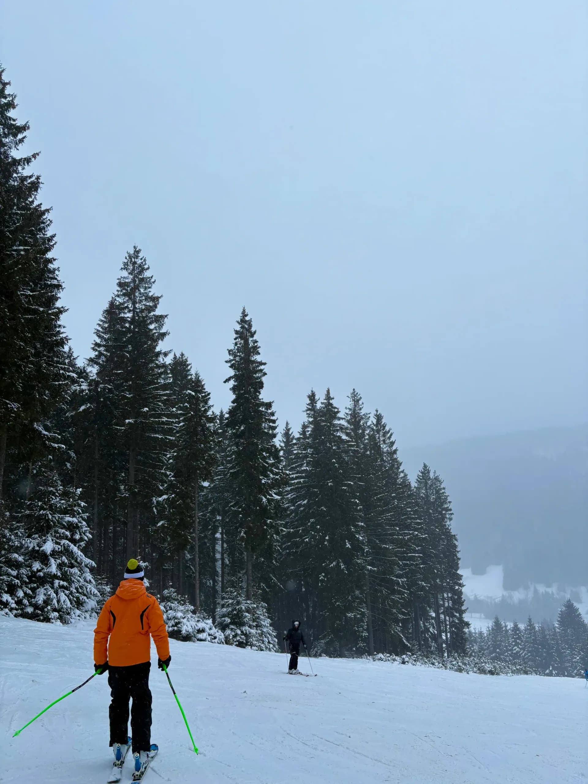 Skiing