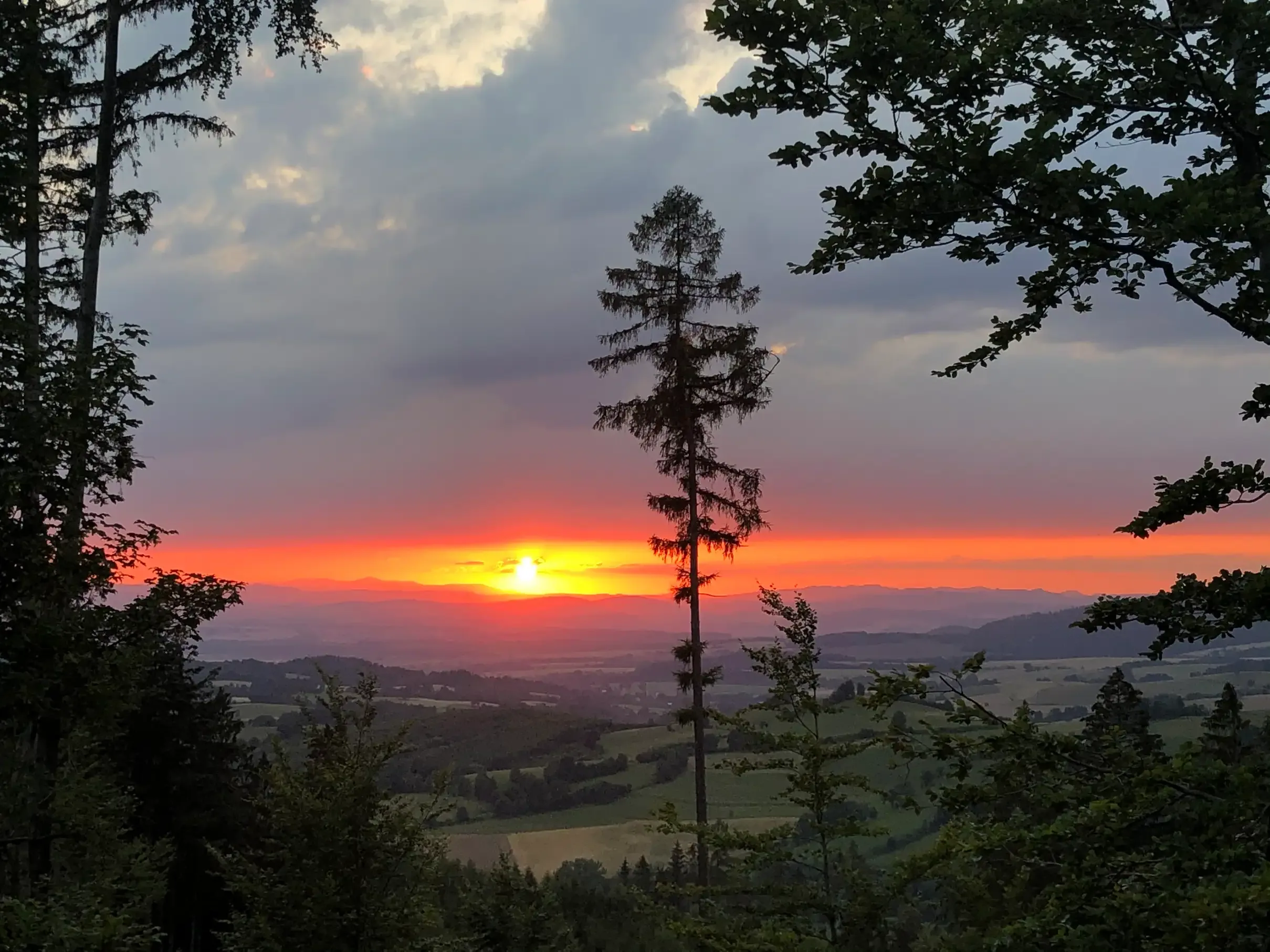 Sunset view