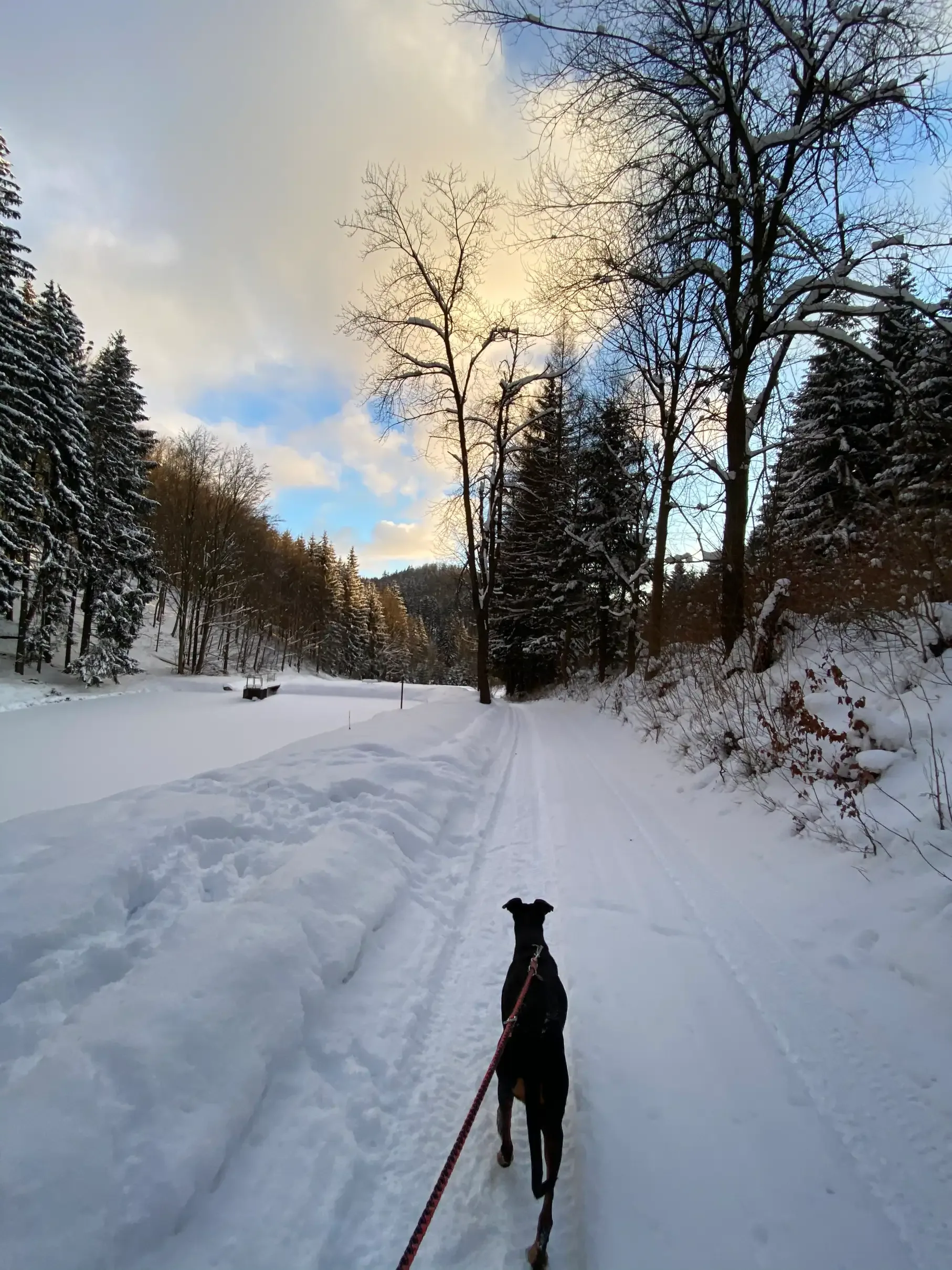 Winter
